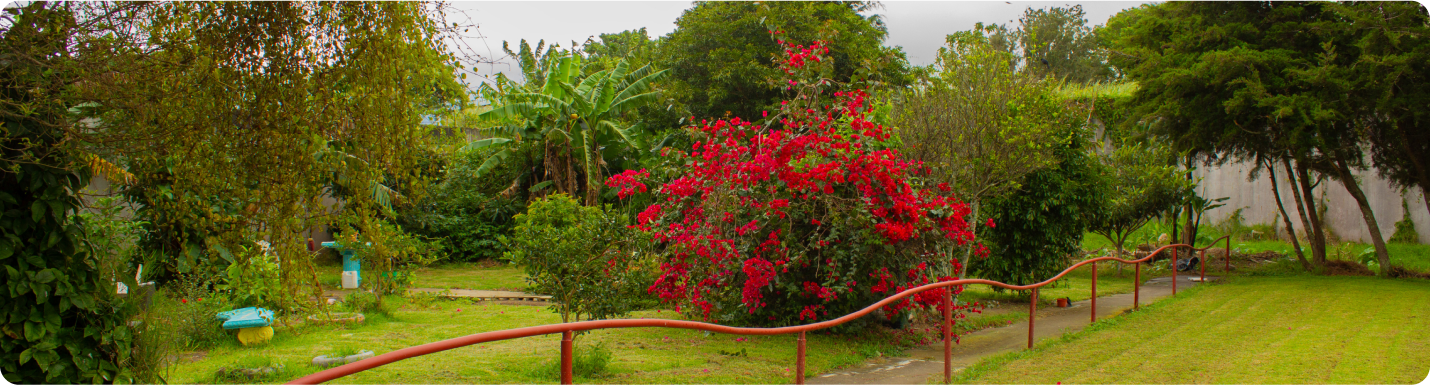 Foto jardín